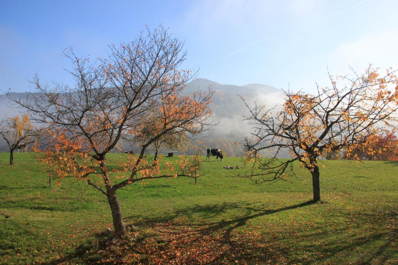 La Colline Du Baa - Maison D'Hotes D'Exception Bed & Breakfast Lapoutroie Exterior photo